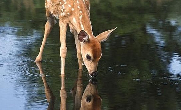 关于甘泉河的故事可替换