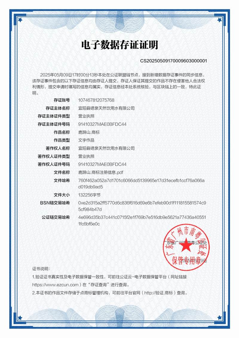 公证处存证证明