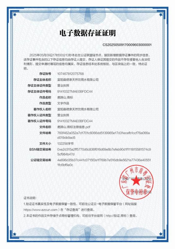 公证处存证证明